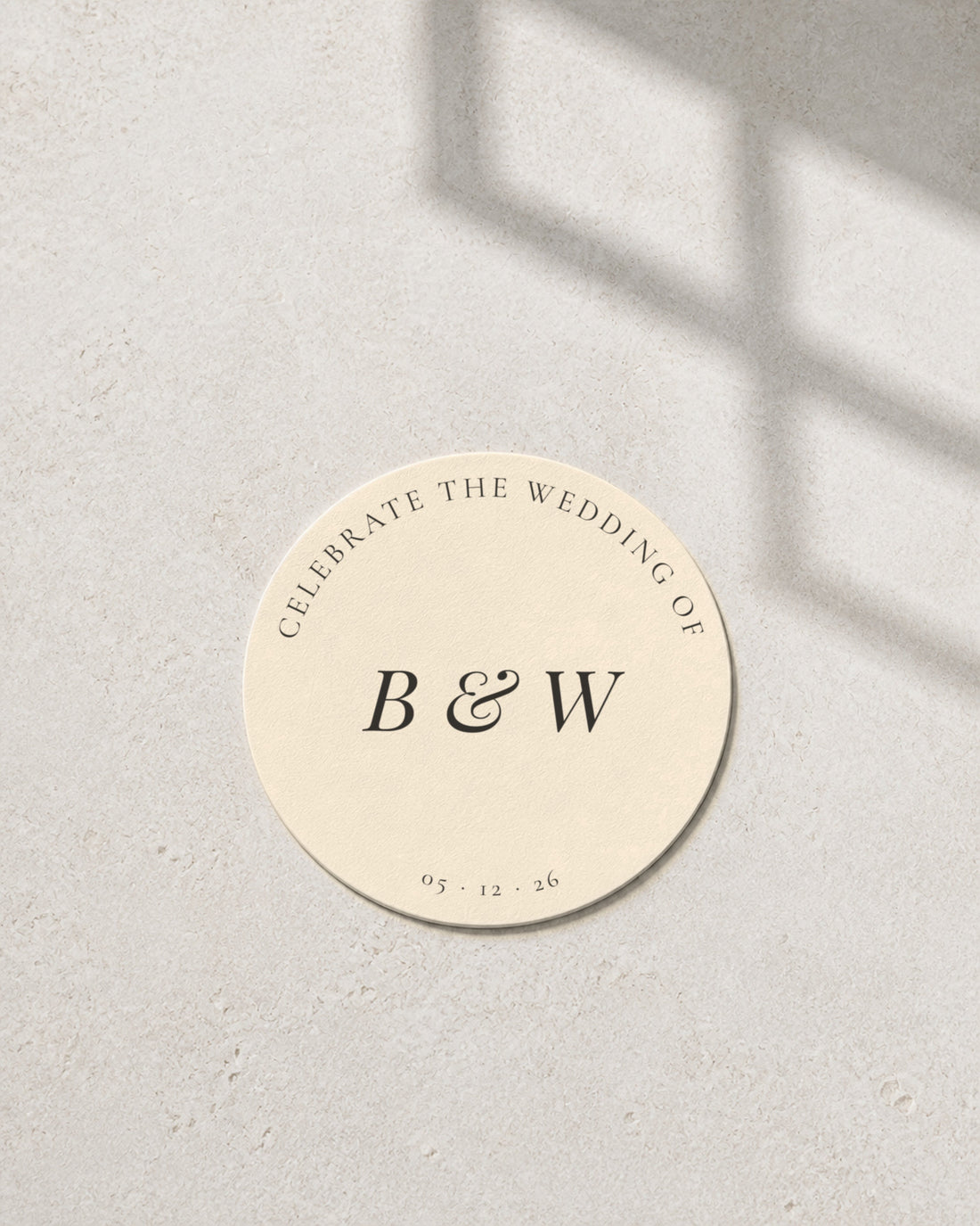Camellia ivory coaster in window light